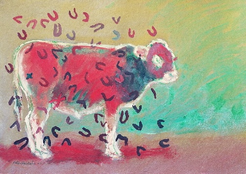 Didier Christophe, Boeuf et son caryotype.