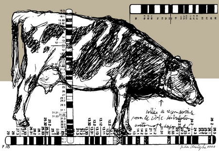 Didier Christophe, multiple,  2002.