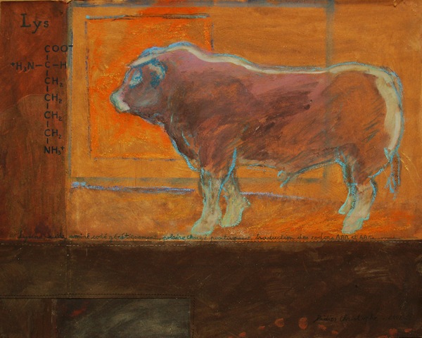 Didier Christophe, Lys, 40 x 30 cm, 2002.